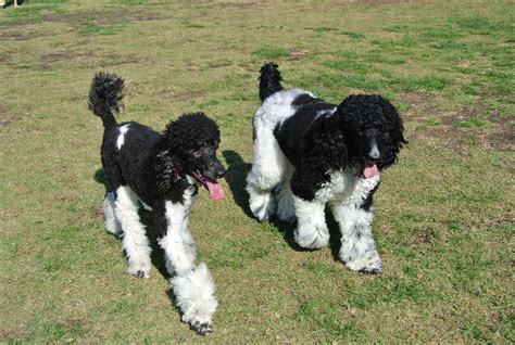 Me and my brother, Cooper