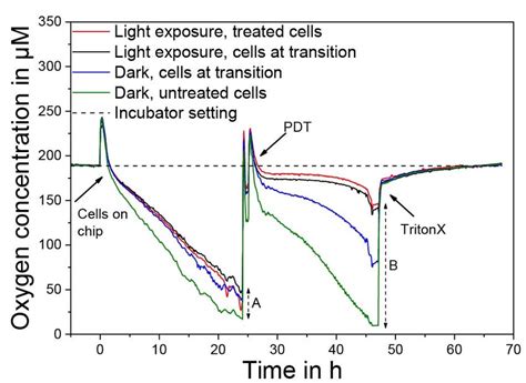 Image result for Understanding O2 Sensor Readings