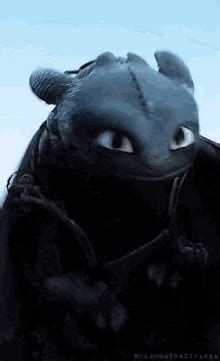 Image result for Toothless Pfpp