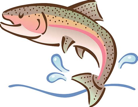 Clip Art Of Salmon Jumping Illustrations, Royalty-Free Vector Graphics ...
