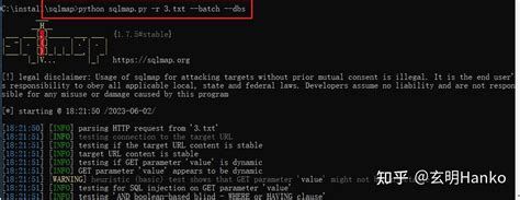 Sqlmap Hacking 的图像结果