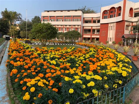 CDA,Ministry Of Defence,Government Of India