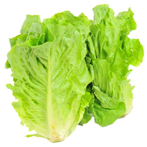 Insalata Romana | Bennet Online