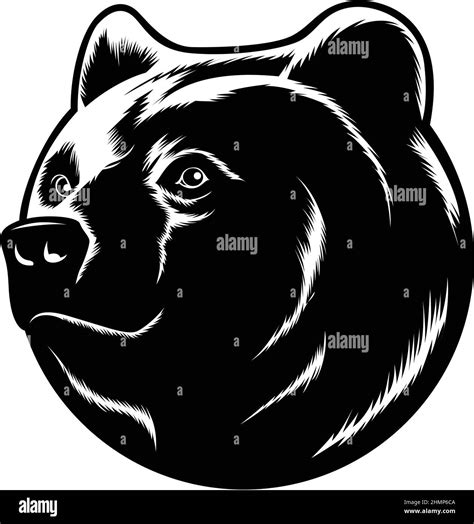 Head of Black Grizzly Bear Stock Vector Image & Art - Alamy