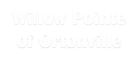 Ortonville Florist - Flower Delivery by Willow Pointe of Ortonville