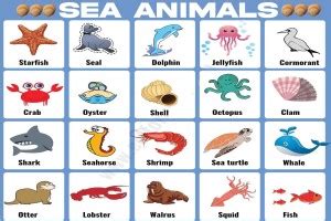 Sea Animals Wall Sticker Poster|Sticker Poster For Kids Learning ...