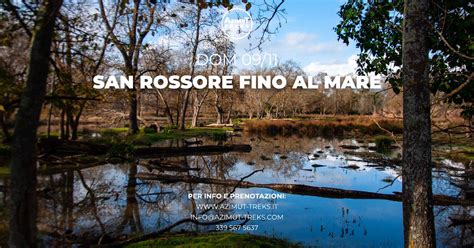 Trekking San Rossore fino al Mare, Parco Naturale Migliarino San ...