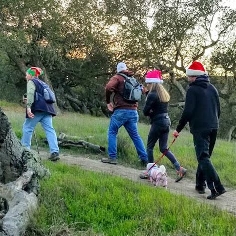 Caminata de Año Nuevo en Los Flores Ranch Park | Tu Tiempo Digital