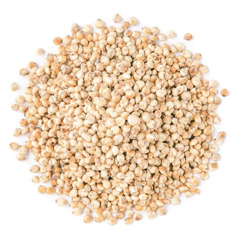 Italian White Whole Grain Sorghum Buy in Bulk from Food to Live