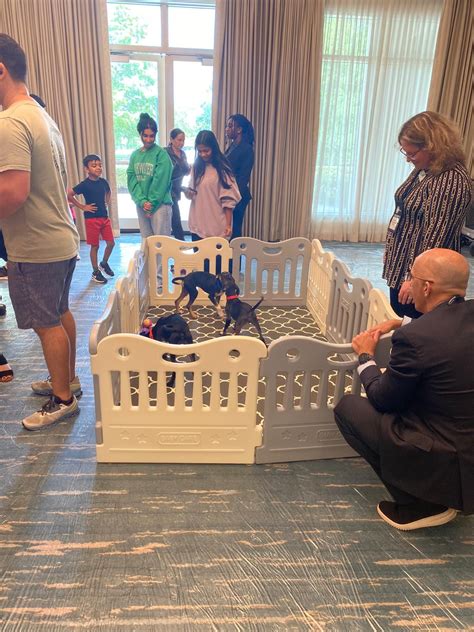 DIAL IT UP! – The blog site of the NSU Law Disability Inclusion and ...