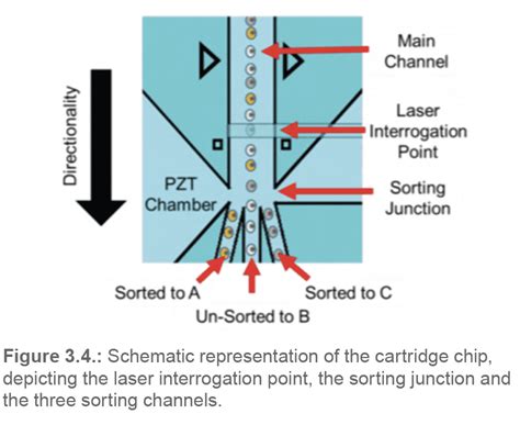 Image result for Molding Machine Sorting Cell