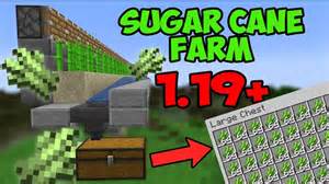 Sugar Cane Farm Minecraft Java 的图像结果