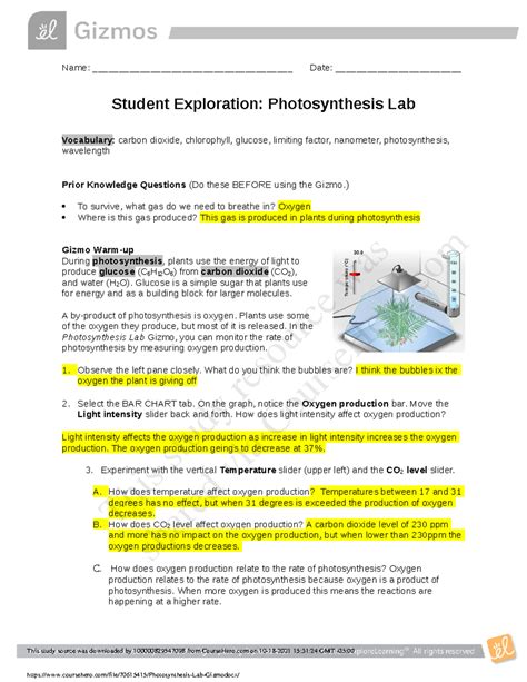 Photosynthesis Lab Gizmo assigmnent iu8iu0 - Corporate lAw - Studocu