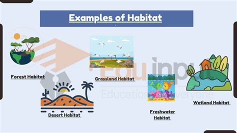 Image result for Habitat Example