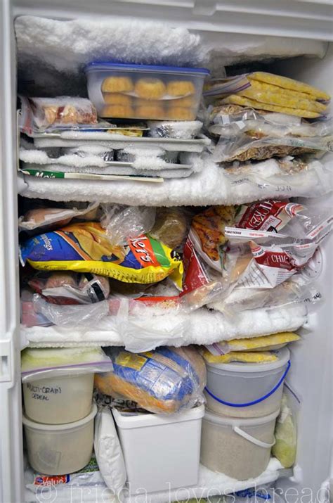 Image result for Freezer Defroster