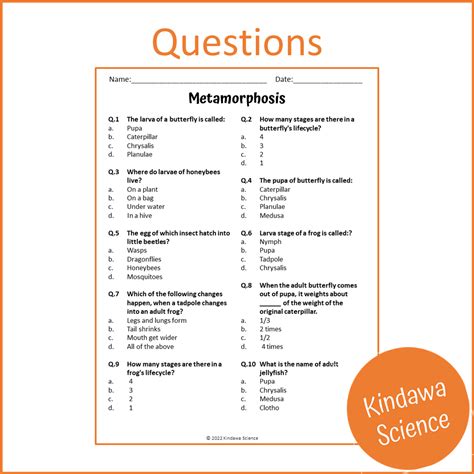 Metamorphosis Reading Comprehension Passage and Questions | Printable ...