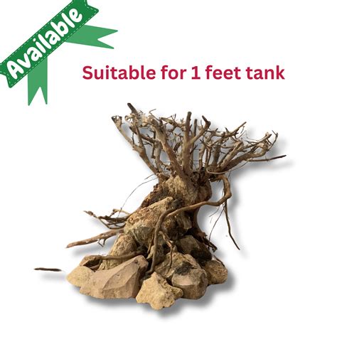 Ready-to-Use Driftwood Aquascape Setup – For 1 ft Aquarium Tank (Addit ...
