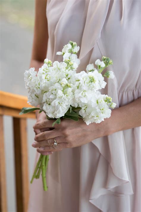 Petite bridesmaid bouquet | Simple bridesmaid bouquets, Bridesmaid ...