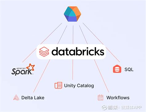 Databricks Demo 的图像结果