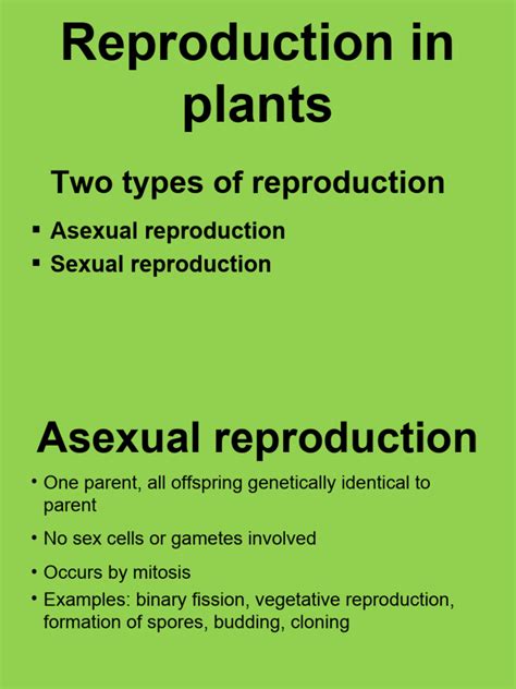 Image result for Types of Plant Reproduction