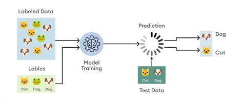 Image result for Machine Learning Models for Classification Training
