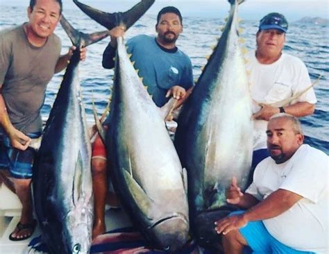 PV SPORTFISHING (2026) All You Need to Know BEFORE You Go (with Photos ...