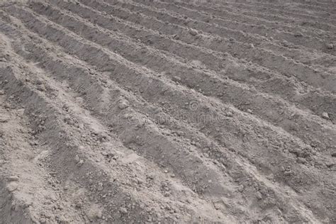 Postura en terrenos blandos