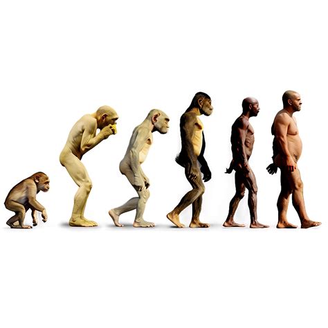 Evolution PNG 的图像结果