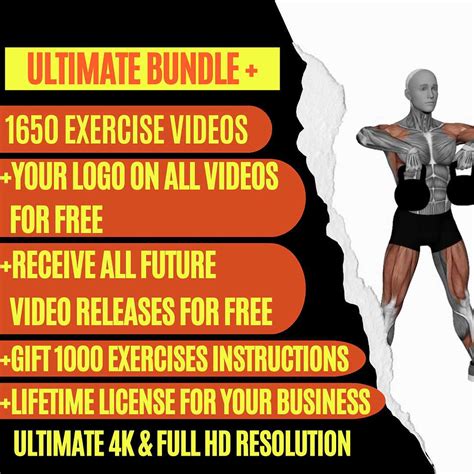 Exercise Animation 的图像结果