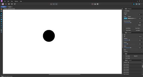 Image result for Affinity Liquify