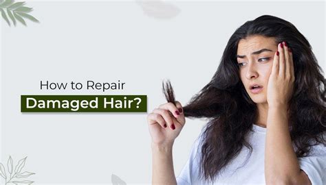 How to Repair Damaged Hair? – Indus Valley