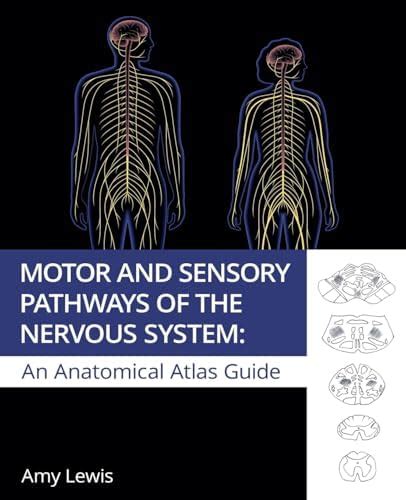 Buy Motor and Sensory Pathways of the Nervous System Book Online at Low ...