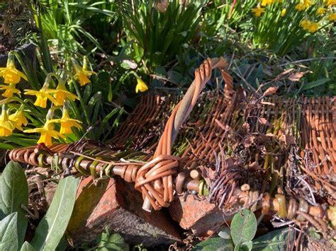 Willow Hedgerow Flower Basket, The Old School Hall, The Square, Yardley ...