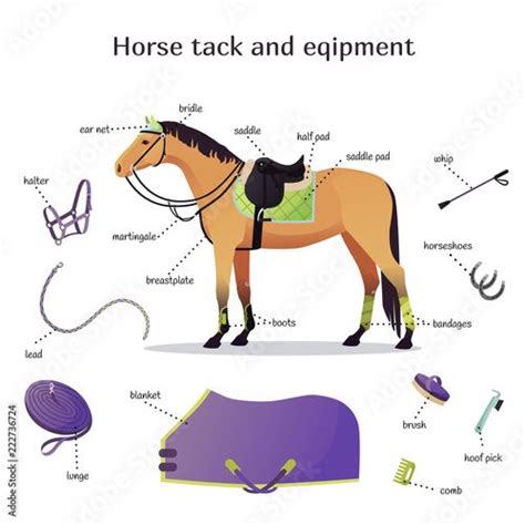 Comanche Horse Tack Innovative Equipment Design