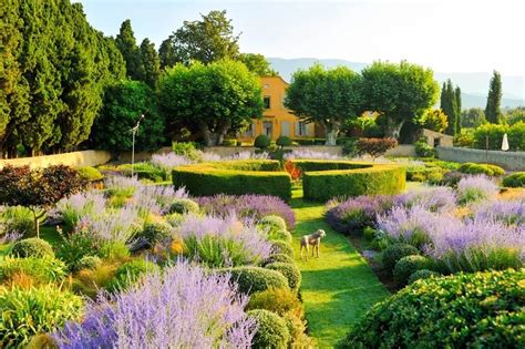 Image result for Garden Sheds at Lowe's