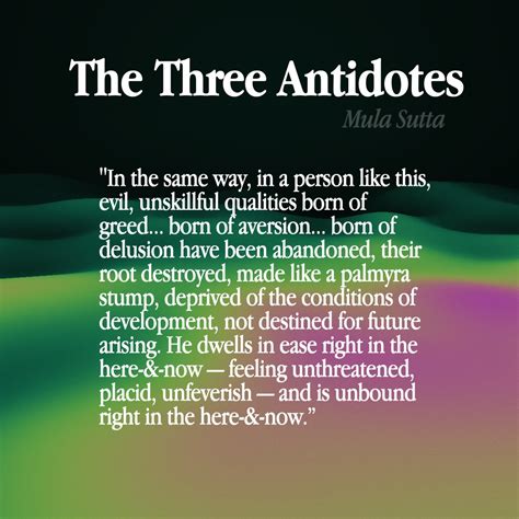 The Three Poisons – Buddhism - Dhamma Source
