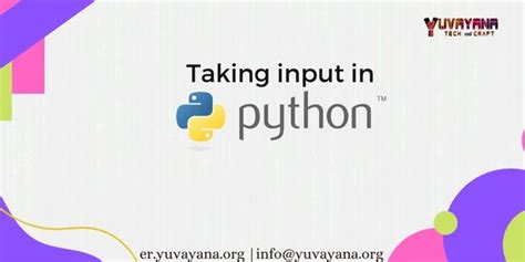 Input Data in Python 的图像结果