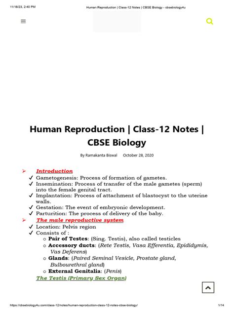 Image result for Class 12 Bio Human Reproduction