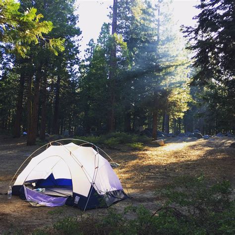 Pinecrest Campground | Pinecrest, CA