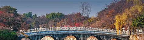 Ulsan to West Daegu KTX High-speed Train From ₹ 881.03 | Trip.com