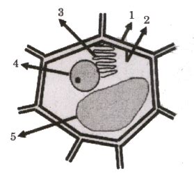 Combined Defence Services Exam 2023-2 General Ability Solved Paper
