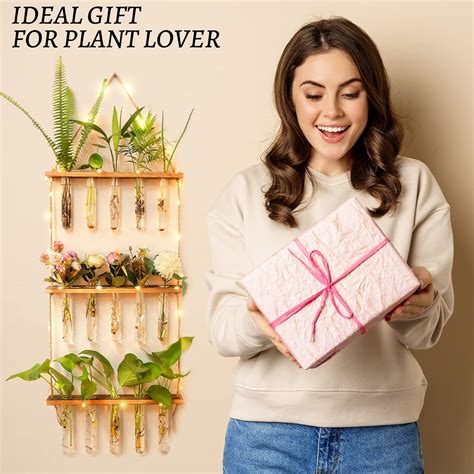 Buy MYFINCA Propagation Stations Wall Hanging Planter Terrarium with ...