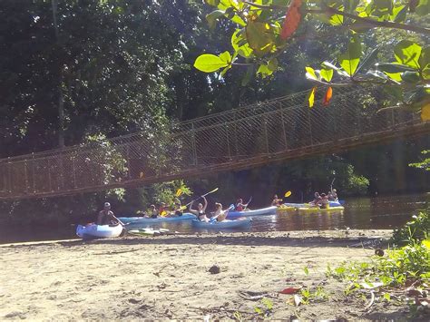 MANZANILLO ADVENTURE TOURS (2026) All You Need to Know BEFORE You Go ...