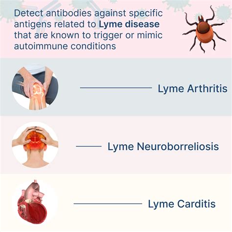 Lyme Disease Symptoms Checklist