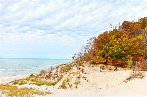 Saugatuck Dunes State Park - Saugatuck Douglas, MI