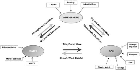 Filtration Solutions for Microplastic Mitigation: Cutting-Edge ...