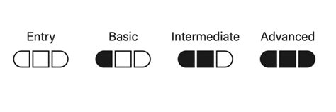 Image result for Skill Levels Basic Intermediate Advanced