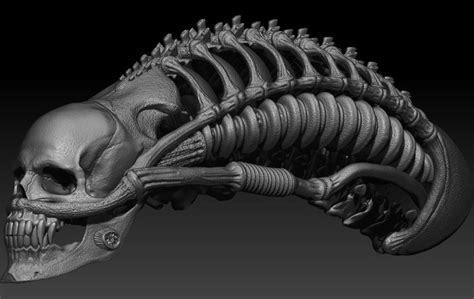 Xenomorph Alien Skull 1/6 Scale - Etsy