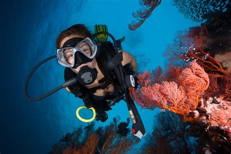 Scuba diving the bends. Decompression Sickness in Scuba Diving: Causes ...