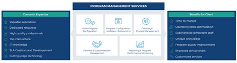 Image result for Program Management Services